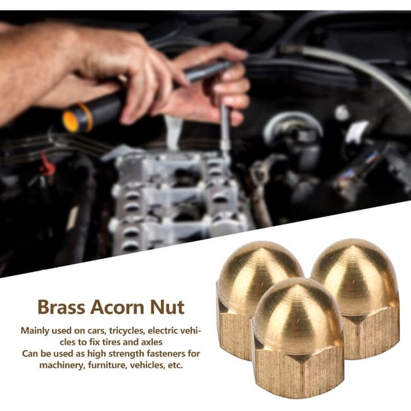 Mässing Ekorrnöt Set Dome Head Cap Hex Nut Set Fordon Fästelement (M5 20st)