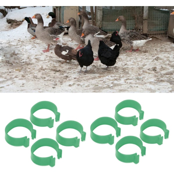 100st Fjäderfäpälsning Öppet spänne Uppfödning Kyckling Anka Gåspälsning Kycklingtillbehör Grön 20mm