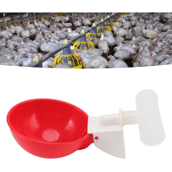 10 set kycklingkoppar Automatisk vattendrickare Stor röd plastskål för Ankfågelhöna G3/4