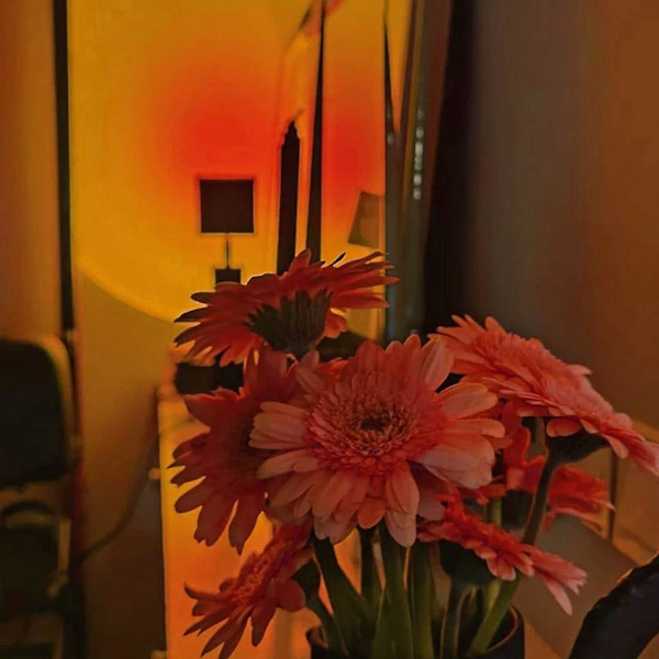 Led solnedgang regnbue projektor atmosfære lys USB hjemmemøbler - solnedgang (som vist på bildet, som vist på bildet)