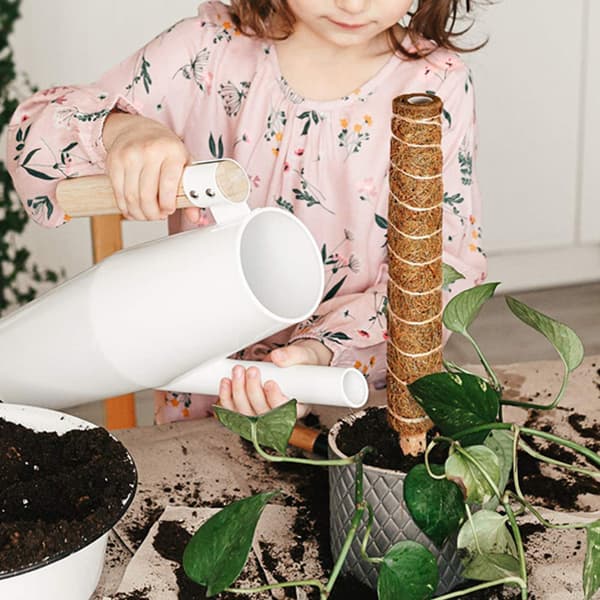 2 st klätterstöd i kokosnötfiber för växter 40cm