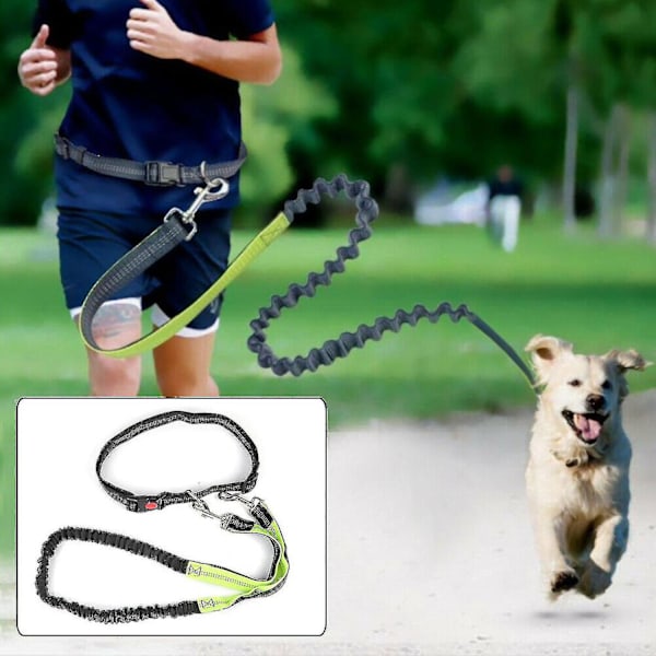 Justerbar joggeline, gåseleie, hundeleie, turseleie med midjebelte