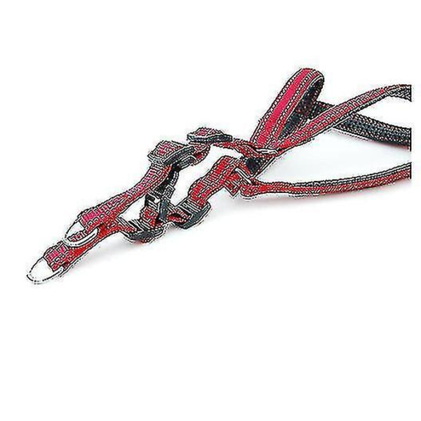 Hand i hand baby husdjur koppel nylon medium och stor hund koppel hund kedja