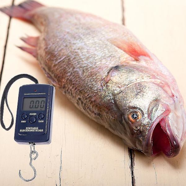 20g-40kg Digital Hängande Bagage Fiskevikt Skala Köksvågar Matlagning Också feng