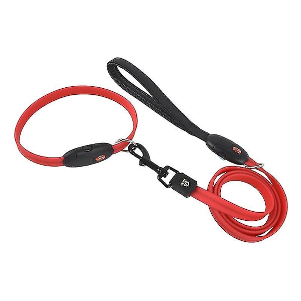 Pet Electroluminescent Leash Collar Usb Charge Led Dog Walking Collar Leash Red