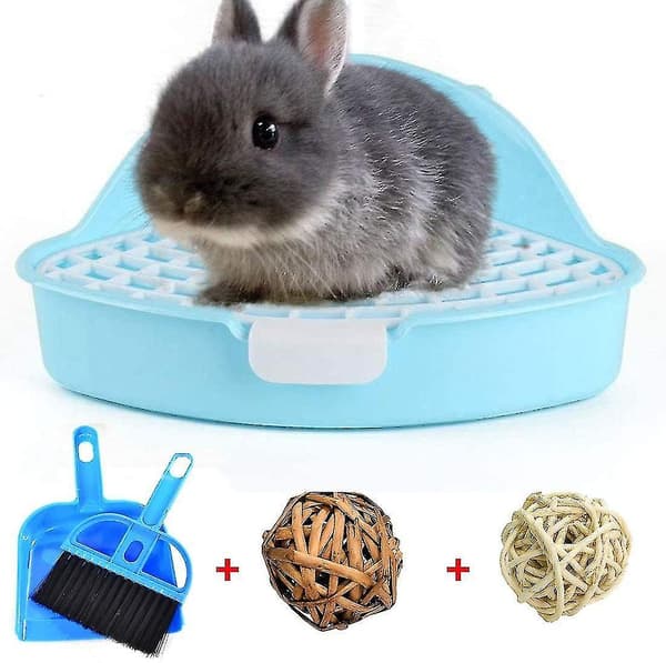 Pieni eläinten vessa