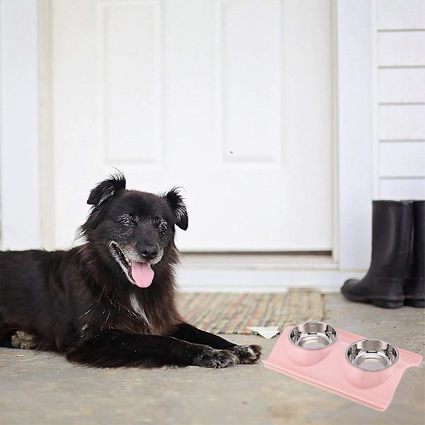 Hunde- og katteskåle i rustfrit stål, dobbeltskåle til kæledyr, chassis uden spild, mad- og vandautomat til katte og små hunde (pink)
