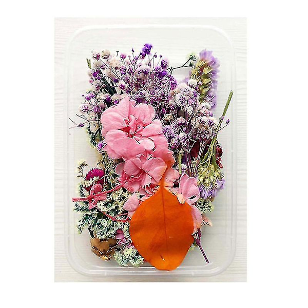 Torkade blommor paket blandade eviga blommor och bladverk för DIY aromaterapi ljus gratulationskort
