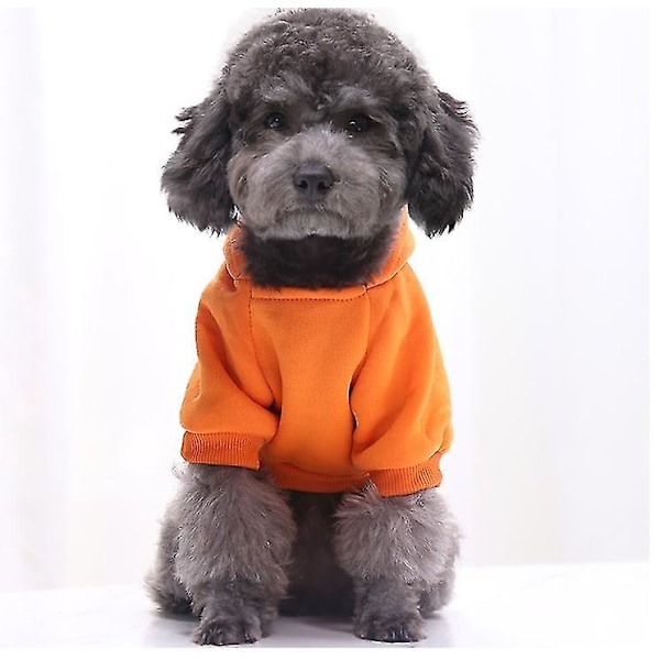 Katt- och hundkläder, husdjurssportkläder, husdjurstillbehör (orange, M)