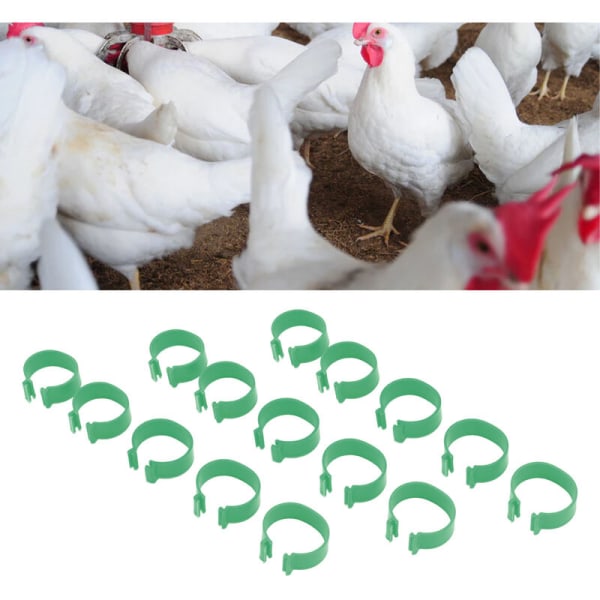 100st Fjäderfäpälsning Öppet spänne Uppfödning Kyckling Anka Gåspälsning Kycklingtillbehör Grön 20mm