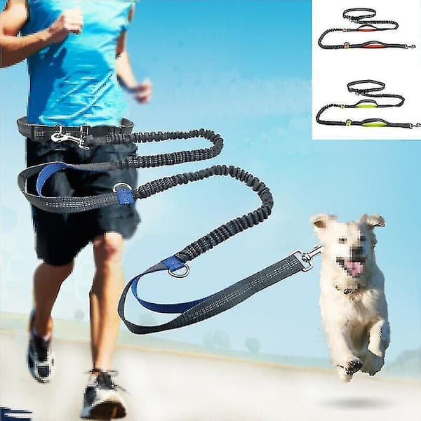 Reflekterande koppel dragrep husdjur hund löpbälte elastiskt händer fritt jogging drag hundkoppel