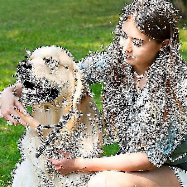 Hundekam, plejerake, langtandet stålkæm, træ, kæledyr, fjernelsesværktøj