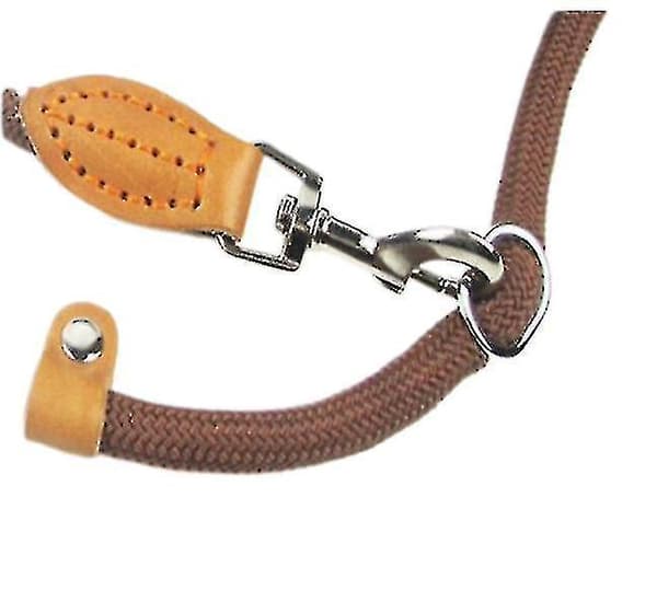 Pet Leash Minor Easy Pull Leash Nylon Rope Plus Hook Puppy Pet Leash