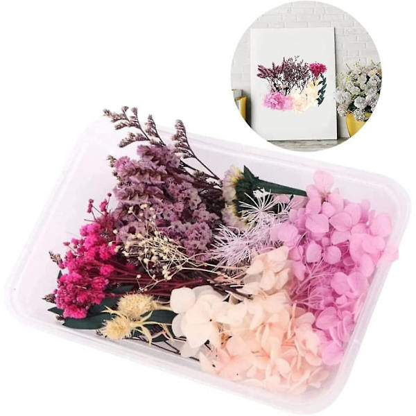 Tørrede blomster sæt naturlige blandede pressede blomster DIY harpiks håndværk fremstilling dekorationer naturlige tørrede blomster