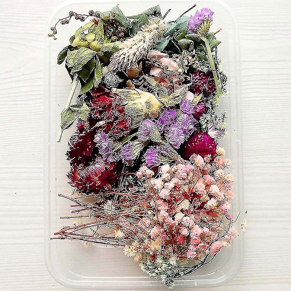 Torkade blommor paket blandade eviga blommor och bladverk för DIY aromaterapi ljus gratulationskort