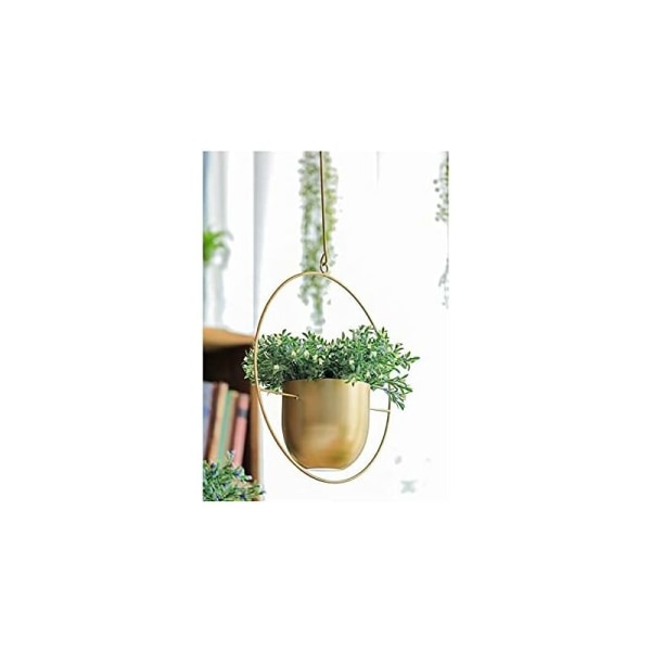 Metallhängande blomkruka - inomhusväxter - utomhus, uteplats, balkong, inomhusväxter, suckulenter, luftväxter (gyllene rund)