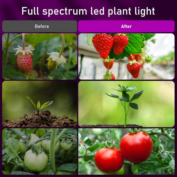 Plantelys, 80 LED'er 360 Grow Light Hortikulturbelysning Med, Automatisk Timing - Til/fra 4t/8t/12t [energiklasse A+++]