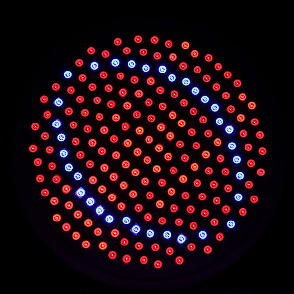 Full Spectrum LED Hortikulturlampa E27 Inomhus Växtlampa 20W för Inomhus Växthus, Trädgård, Odling, Hydroponics, Grönsaker