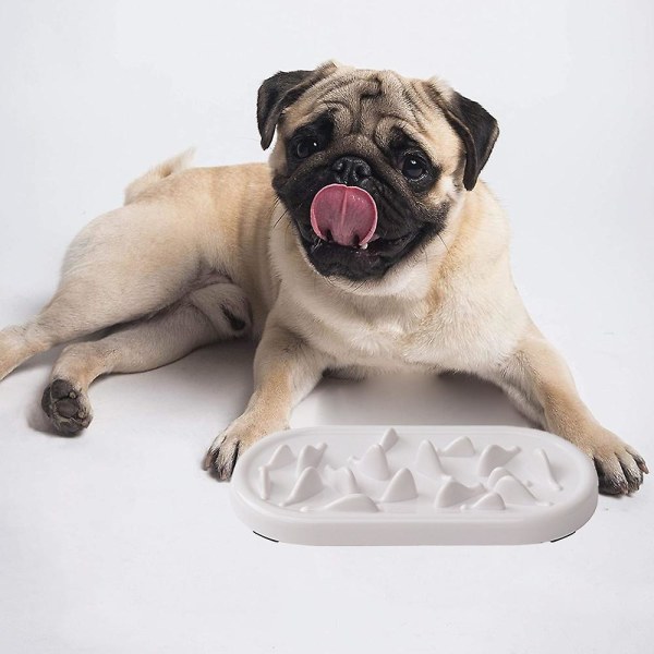 Pet Slow Food Bowl Teddy Liten och medelstor Hund Anti-kvävningsskål Halkfri Slow Food Bowl