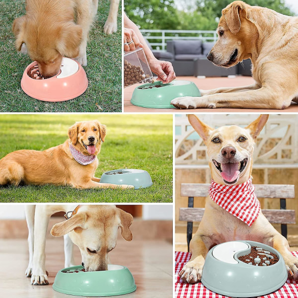 Långsam matskål för hundar, Långsam matskål för mat och vatten, Antifrossningsskål för hundkatt, främjar hälsosam kost och långsam matsmältning (grön)