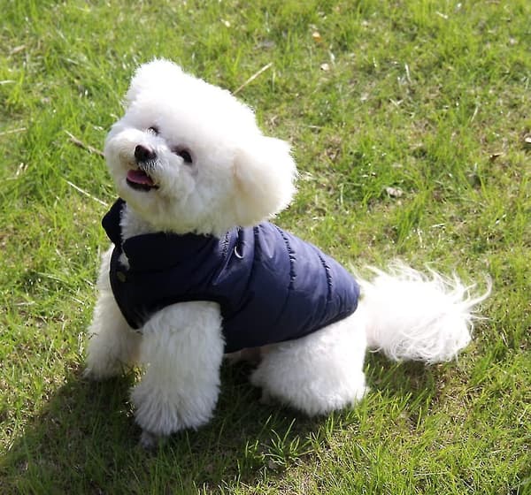 Hundegenser Varm Lag Fleece Vinter M