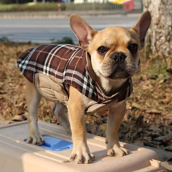 Hundejakke Hundejakke, Velegnet til små hunde, Vatteret dun dobbeltsidet design vest regnfrakke, Brun, XXXL (Bryst: 88-104cm, Ryg: 57cm) (XXXL, Brun)