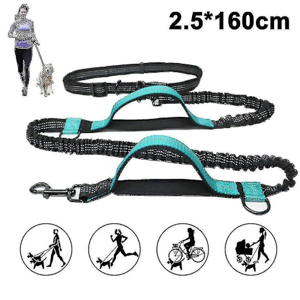Gg4210-Reflekterende Dobbel Inntrekkbar Hundekobbel-Fluorescerende Grønn Plus Skum 2.5*160cm