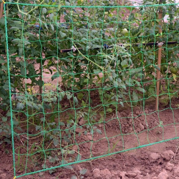 Stort mesh klätternät för att odla klätterväxter 1.8m*3.6mM