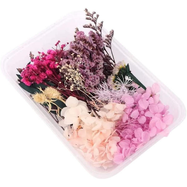 Torkade blommor set naturliga blandade pressade blommor DIY hartshantverk gör dekorationer naturliga torkade blommor
