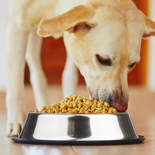 Rustfritt stål hundematbolle med gummibase for alle kjæledyr, fôringsbolle og vannskål, perfekt valg (sett med 2)