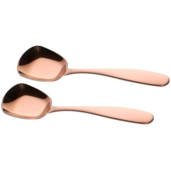 2 rustfrie stålskeer, spiseskeer, skeer