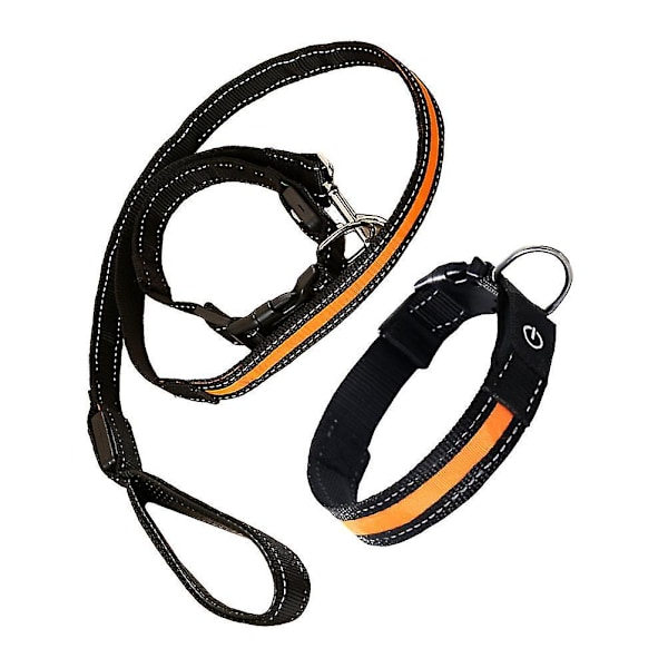 Nylon LED-lysende hundeline - Lysende hundeline i holdbart materiale - Hundesnor