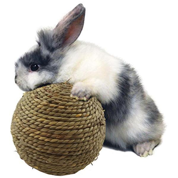 Naturlig gressball kjæledyr tygge for tenner rengjøring leker for små gnagere katt