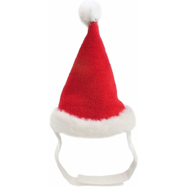 Hundkostym Katt Juldräkt Jul Hundkläder Husdjur Jul Outfit Tomteluva för Katter/Små Hundar