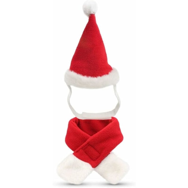 Hundkostym Katt Juldräkt Jul Hundkläder Husdjur Jul Outfit Tomteluva för Katter/Små Hundar