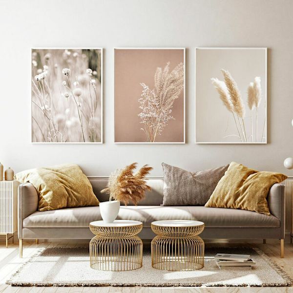 Set med 3 premium-affischer - Pampasgräs - för vardagsrum eller sovrum - Triumph oramad (30 x 40 cm)