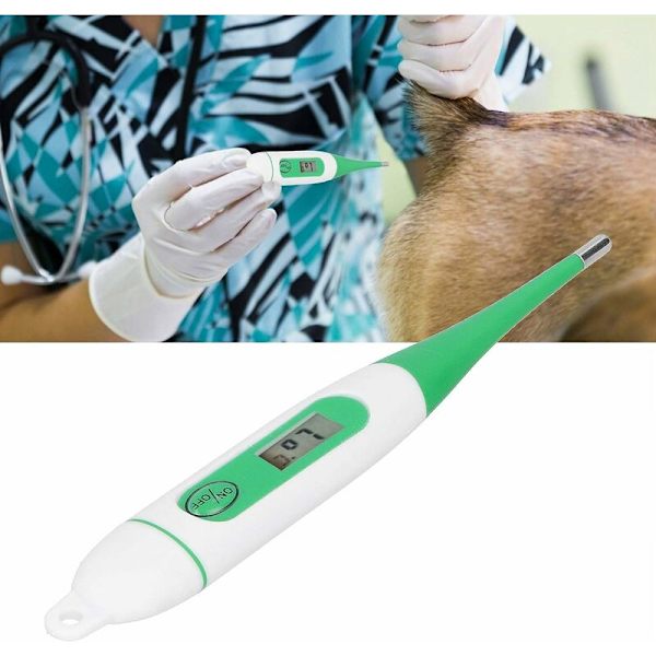 Elektronisk veterinärtermometer för djur, digital termometer för husdjur, får, häst, gårdsdjur, hund, häst, katt
