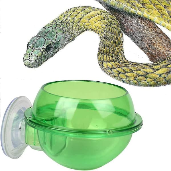 Sugerkop Reptil Foderautomat Foder Skål Bakke Til Slange Skildpadde Gecko Vivarium Reptil Mad