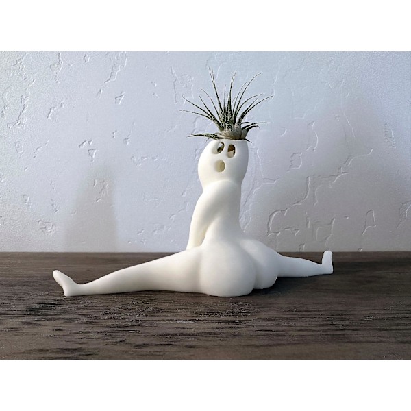 Sjov stor numse spøgelse potteplanter rædsler i dette hus latterlige luftplante display & gag gave med levende luftplante Tillandsia Jst（spøgelse blomsterpotte）