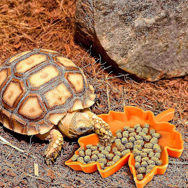 Reptilplastskål Liten Vattenfat Reptiler Mat Skål För Ödla Gecko(grön)