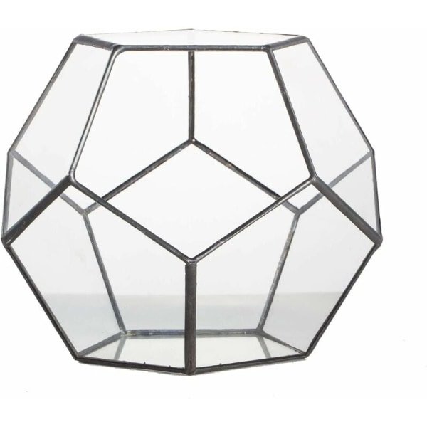 Dodekaeder Terrarium och femkantiga glasplattor för växter Transparent klar storlek
