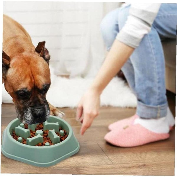 Slow Dog Feeder Bowl Halkfri Anti-kvävning Interactive Fun Pet Food Waterer Green