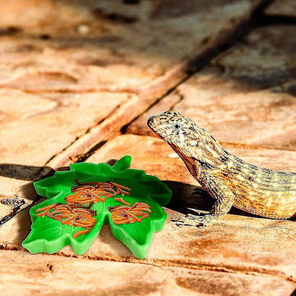 Reptilplastskål Liten Vattenfat Reptiler Mat Skål För Ödla Gecko(grön)