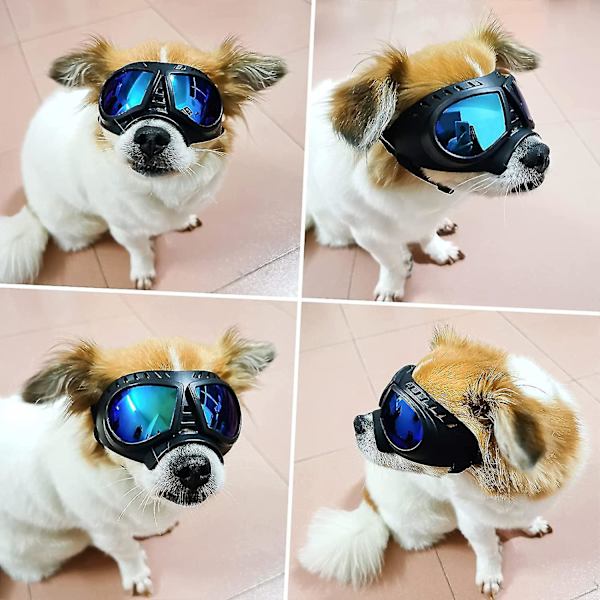 Hunde Goggles Øjenbeskyttelse Hunde Solbriller Anti-uv Goggles Vindtætte Hvalpegoggles Med Justerbar Fl