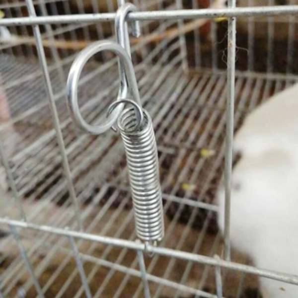 20 st burdörrfjäderhakar i metall, fingerfjäderlås för att fästa dörrar till kaninburar, husdjursburar, jordbruksutrustning L7,3x2,2cm
