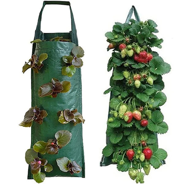 2-pack väggmonterade växtpåsar Tomat/Jordgubbe/Potatis/Chili Blomsterplanteringspåse Växtpåsar Odlingspott Kruka