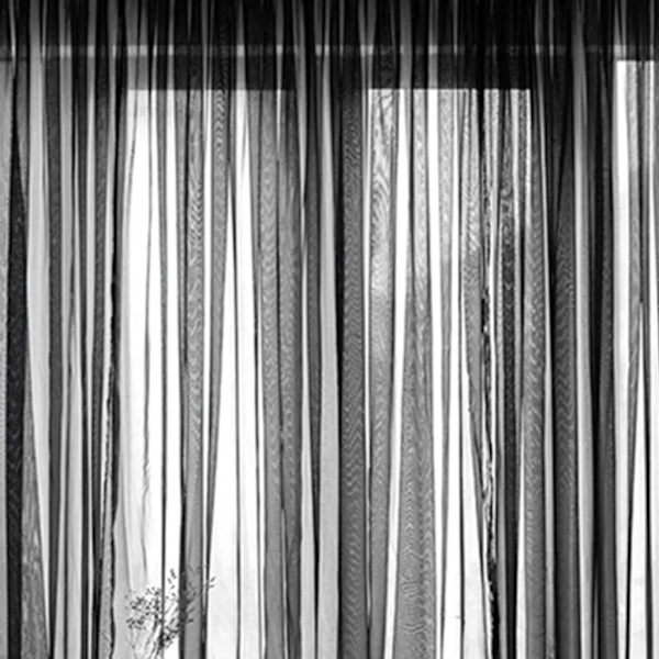 100x200cm Svart Voile Blad Öglegardin, Transparent Fönster Sjal Par
