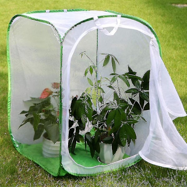 Fjärilsbur, hopfällbar insektsbur 40*60cm