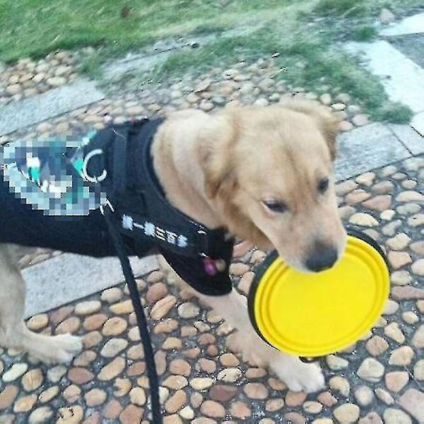 1000ml Vikbar Hund- och Husdjurskål i Silikon, Svart