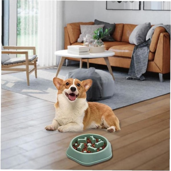 Slow Dog Feeder Bowl Halkfri Anti-kvävning Interactive Fun Pet Food Waterer Green